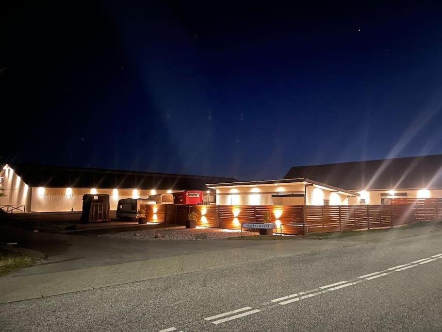Stor Rummelig Lejlighed Med Egen P-Plads Kolding Kültér fotó